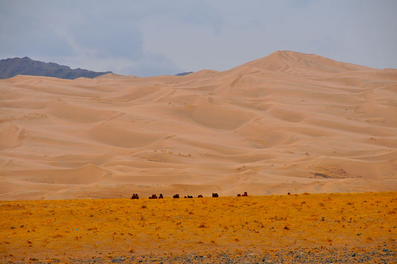 Mongolie
